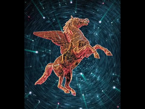 MEDUZA, Eli & Fur - Pegasus || Visuals 4k