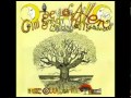 Daevid Allen & Mother Gong - Hands