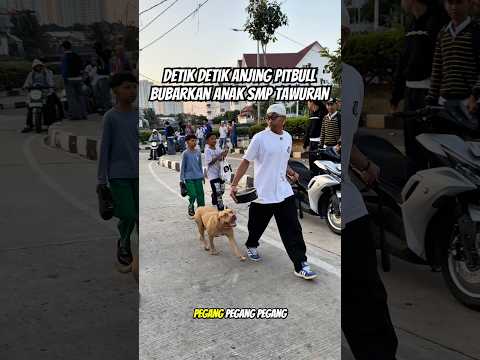 NYALI ANAK SMP ANJLOK DI-GONGGONG GAVI‼️😭🏃‍♂️