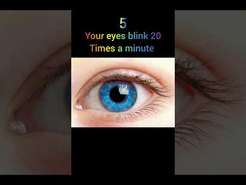 top 5 facts about human body #trending #facebook #shorts #youtubeshorts #insta #instagram #humanbody