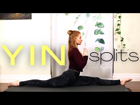 40 MIN Yin Yoga || Get Your Splits || Deep Stretch Yoga for Flexibility