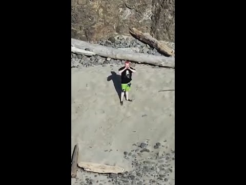 Tourists gets rescued after spelling 'SOS' with driftwood
