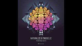 Naturalize & Twodelic - Pumping Beats - Official