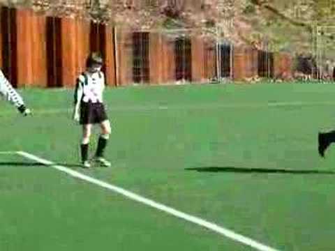 eldenia f1 -- vvo f1