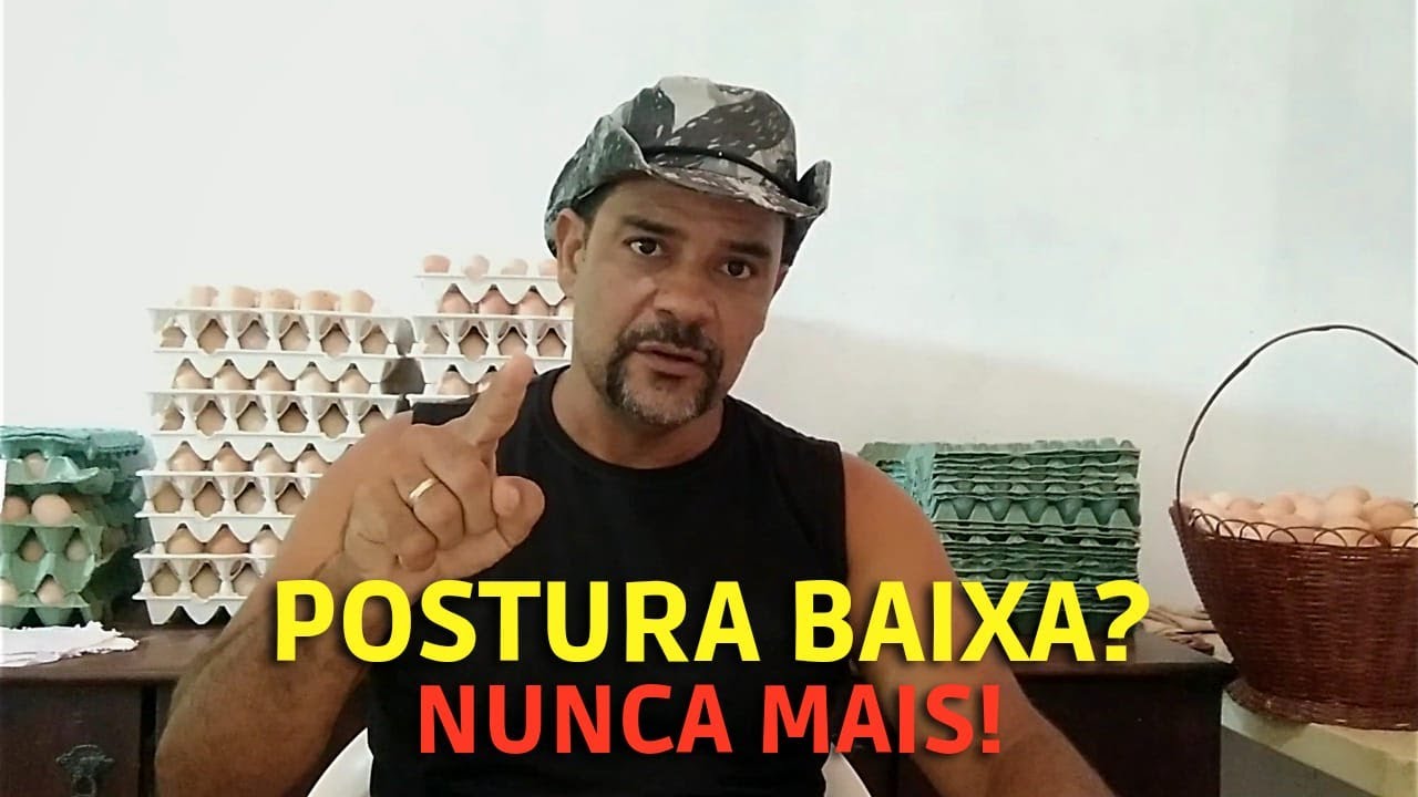 GALINHA CAIPIRA DE POSTURA; POR QUE DIMINUEM A POSTURA OU ATÉ PARAM DE BOTAR❓🤔 #galinhacaipira