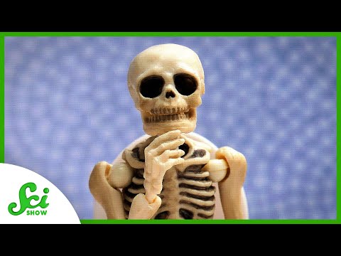 Your Bones Do More Than You Think