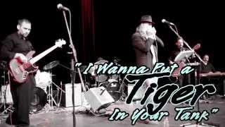 The Kickin' Mule Blues Band - I Wanna Put a Tiger In Your Tank