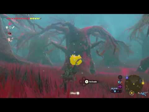 Zelda Breath Of The Wild Trial Of Second Sight Guide