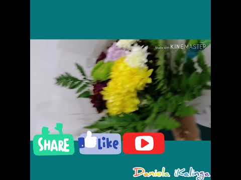 #HADIYA-WARDAH#LOVEGiFTS-FLOWERS#