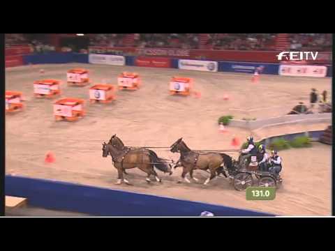 FEI World Cup Driving 2012/13 Stockholm - Tomas Eriksson 2nd Place