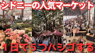 シドニーの週末マーケットをハシゴしたら楽しすぎた|老舗から最新マーケットまで|観光客向けもローカル向けも紹介