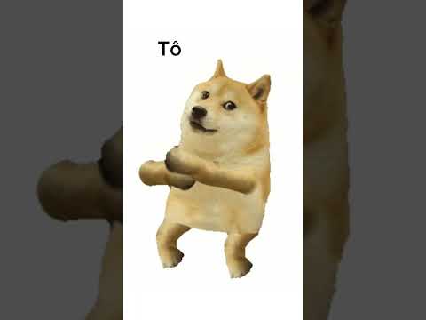 Tô de férias #shots #meme #mizorde