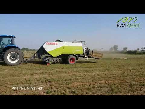 Alfalfa Baling with CLAAS QUADRANT 2200RC