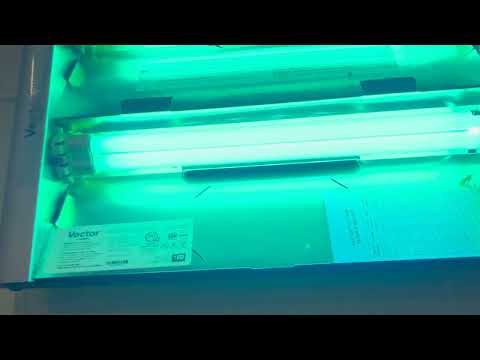 Fly Light Doing Its Job in Allenwood, NJ