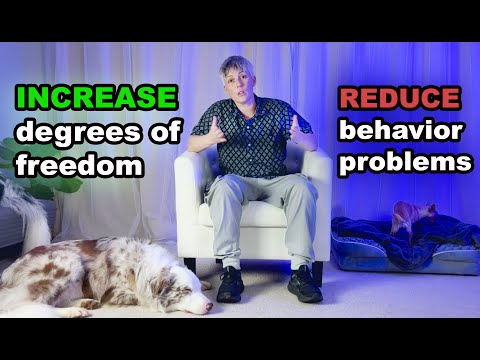 STOP UNWANTED behaviors with BACK UP