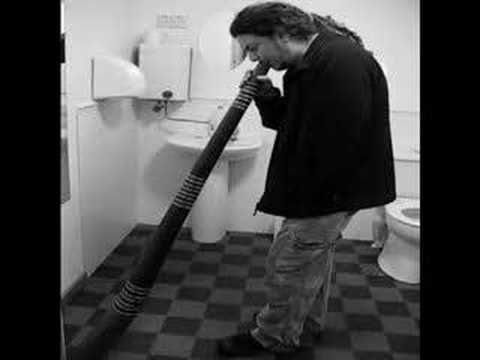 Paul playing in the toilet!!