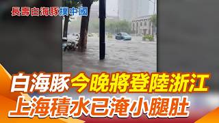 白海豚今晚將登陸浙江 中國發最高級別預警 還沒正式登陸 上海積水已淹到小腿肚 冒暴雨衝上海迪士尼 中網友：來玩的都是勇士｜三立新聞網 SETN.com