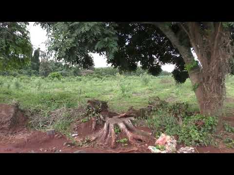 Unterwegs in Paraguay - Itapua, Bella Vista - "Auf dem Lande" - 19.03.2023