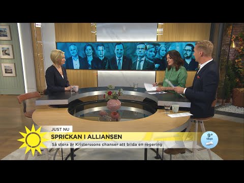 Marcus om allianssprickan: "Dragkamp mellan liberaler och konservativa" - Nyhetsmorgon (TV4)