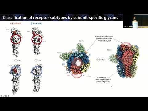 Video thumbnail for CCP-EM Spring Symposium Talk
