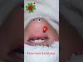 Rosy loves Ladybugs 🐞 #youtubeshorts