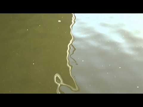 106 -One minute of videoart every day - Wather