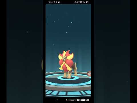 facciamo l'evoluzione di litleo