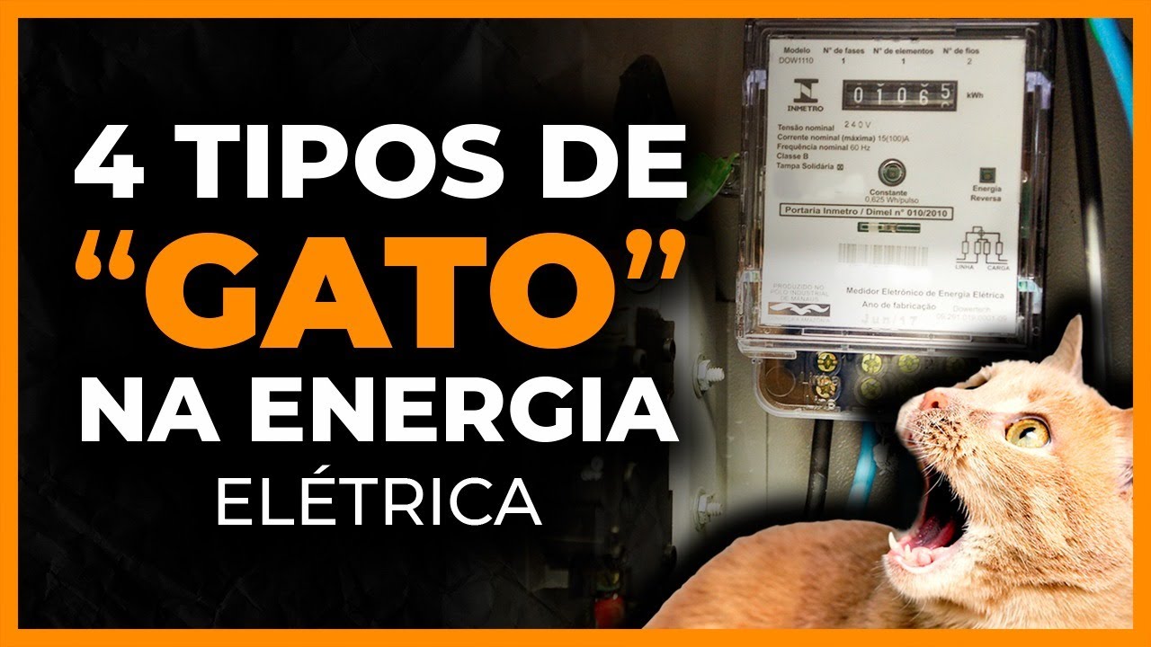 FRAUDE ("GATO") NO CONSUMO DE ENERGIA - Principais tipos de adulteração no medidor de energia