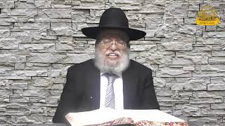 דף היומי בחצי שעה - כתובות דף ק"ח