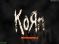 Korn - Did my Time (INSTRUMENTAL) 