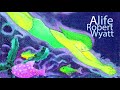 Alife - Robert Wyatt