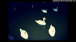 Public Lover - Naked Figures (Bruno Pronsato Remix)