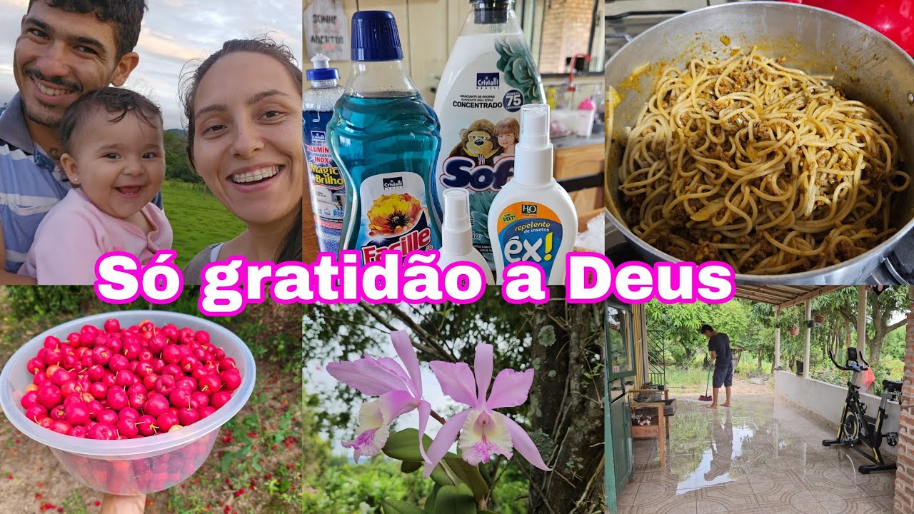 /gratidão estou muito feliz/almoço/colheita vida feliz de uma família rural.sexta feira com chuva