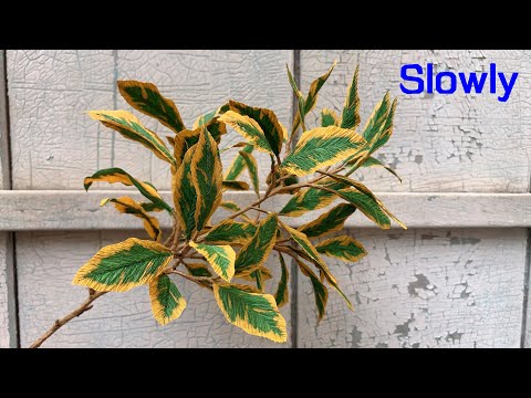 ABC TV | How To Make Decorative Paper Plants With Crepe Paper (Slowly) - Craft Tutorial