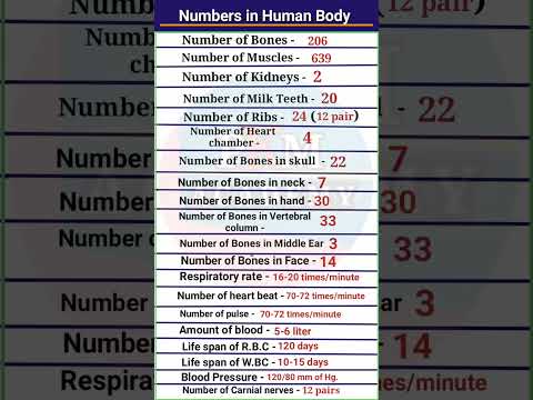 Numbers in Human body || Number of human Teeth || Bones || Muscles || Ribs || Bones in skull