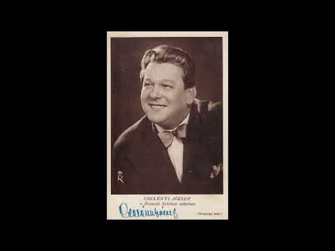 Cselényi József: Lesz, lesz, lesz