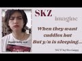 SKZ IMAGINE When They Want Cuddles But Y N Is Sleeping Requested Skz Ff