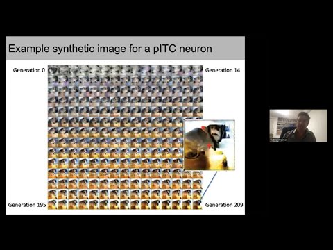 Prof Gabriel Kreiman on "What do neurons want?"