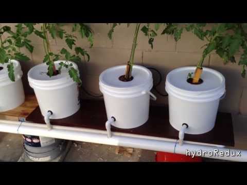 Cheap DIY Bato/Dutch Bucket Hydroponic System
