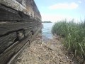 Spring Green Tide Timelapse 1
