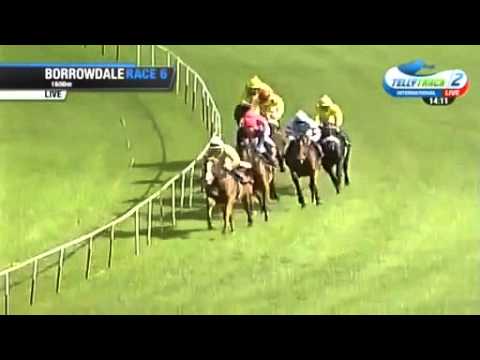 2016.02.28 Zimbabwe Guineas - Pacifica