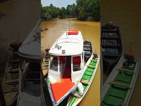 Comunidade de gurupá cachoeira do Arari #natureza