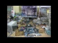 Servis Racunara