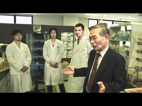 比較文化学科 関東学院チャンネル [大学篇 Episode6]