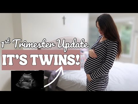 FINDING OUT I'M EXPECTING TWINS! 1st Trimester Recap