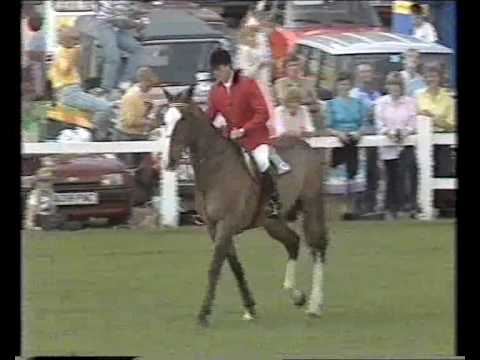 Ryan's Son (ISH) & John Whitaker - 1986 Hickstead Derby