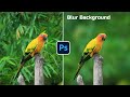 How To Blur Background Photoshop For Beginners 2024