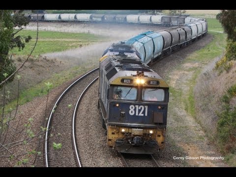 81 class Locomotives of New South Wales - Australian Trains