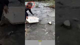 Download lagu Pemancing terkejut Ikan berdatangan‼️#shortvideo #tranding #hiburan #viralvideo #shortsvideo mp3