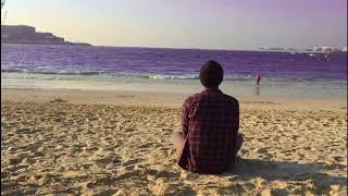 Little Birdy-(Original Song)